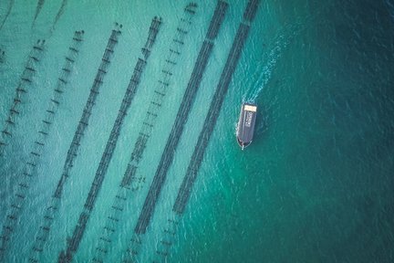 Tour di Coffin Bay con favoloso noleggio di ostriche da Port Lincoln