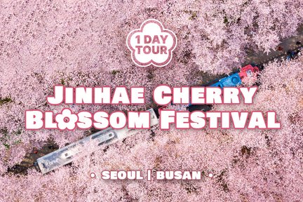 Jinhae Cherry Blossom Festival Day Tour from Seoul & Busan