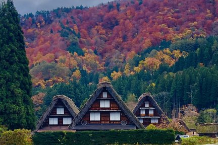  Tour Ngày Tham Quan Takayama và Shirakawa-go với Bữa Trưa Thịt Bò Hida từ Nagoya