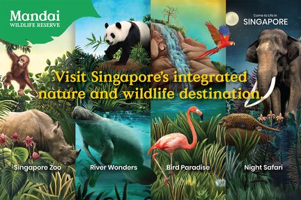 Billet pour le zoo de Singapour et les merveilles de la rivière