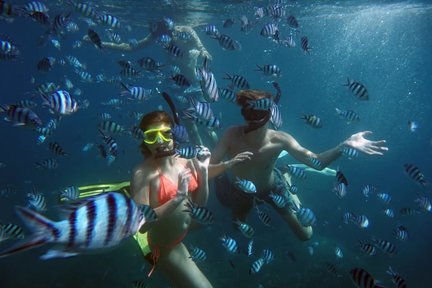 Ganztägiger Schnorchelausflug in Koh Tao mit dem PADI Resort