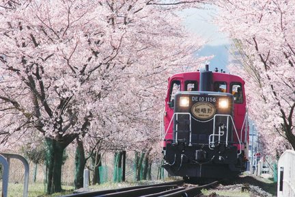 從京都／大阪出發：嵯峨野小火車與導覽一日遊