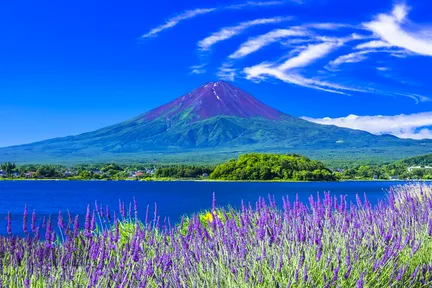 富士山热门打卡拍照景点一日游 - 山中湖&日川时计店&浅间公园&忍野八海&罗森便利店&大石公园(东京出发)
