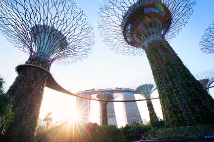 Gardens by the Bay - Supertrees, Flower Dome, dan Cloud Forest