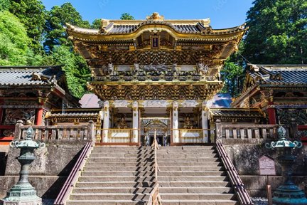 Nikko Toshogu Shrine Admission Ticket