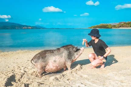 Koh Tan and Koh Mudsum Day Tour dengan Koh Samui