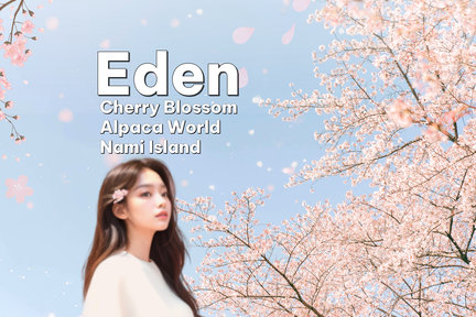 Eden Cherry Blossom & Nami Island & Gangchon Rail Bike Day Tour