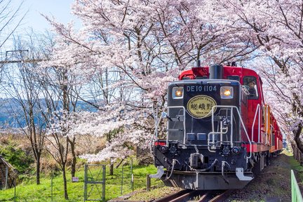 Arashiyama Train & Hozugawa River Rafting Day Tour from Osaka/ Kyoto