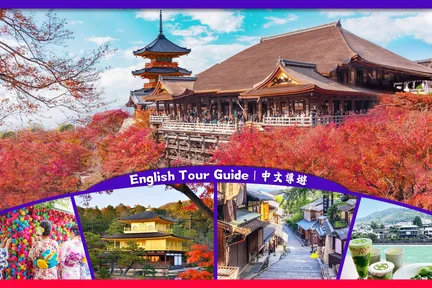 【京都&宇治一日游】金阁寺&清水寺&平等院&宇治川&抹茶美食街&兔子神社&紫式部像（大阪或京都出发）