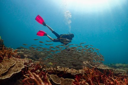 PADIオープンウォーターEラーニング（マブール島 / PADI 5 Star Center提供）