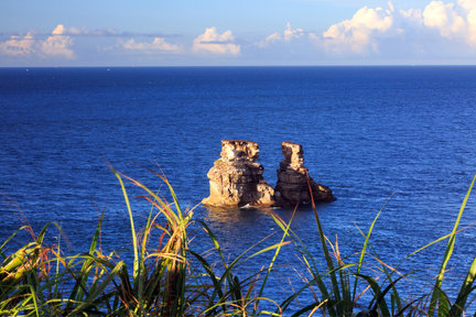 台北: 金山温泉 & 北海岸 & 阳明山一日游