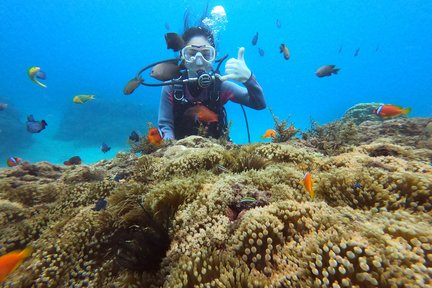 Pingtung｜Kenting Wanlitong Beach Water Entertainment Trip｜Diving experience・Advanced snorkeling