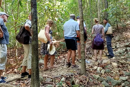 Morning Rainforest Trek in Langkawi