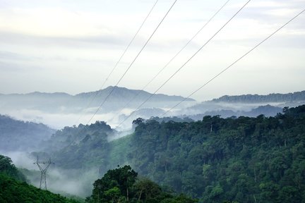 Excursión de un día al descubrimiento de Khao Sok desde Krabi