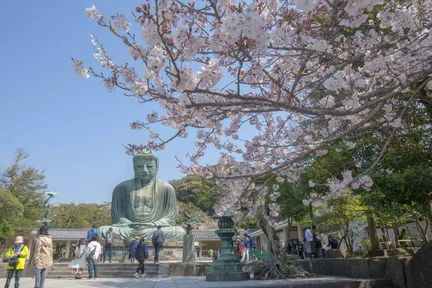 Kamakura Half Day Tour : 100% Personalized & Private
