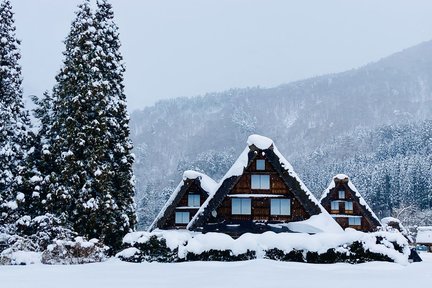 Takayama and Shirakawa-go Day Tour from Nagoya