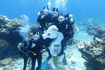 Diving Experience di Green Island, Taitung oleh Venus Dive Center