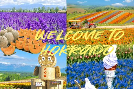 ファーム富田：旅行前に知っておきたいおすすめ情報