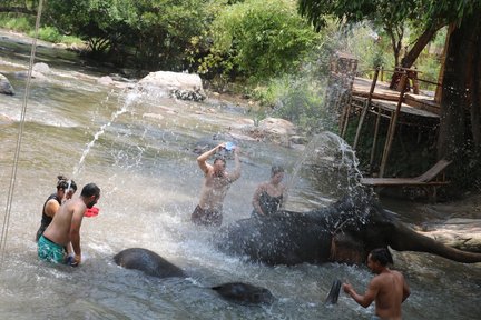 Doi Inthanon大象保护区