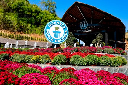 Moc Chau Island Mountain Park And Resort