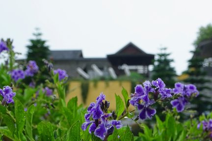 Onsen At Moncham