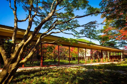 星野集团 界 鬼怒川