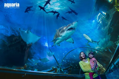 Aquaria KLCC Ticket