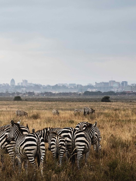Nairobi
