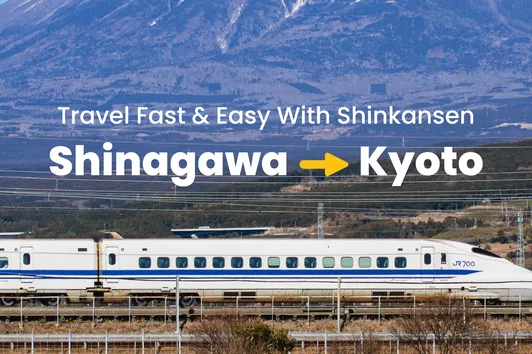 Tohoku Shinkansen