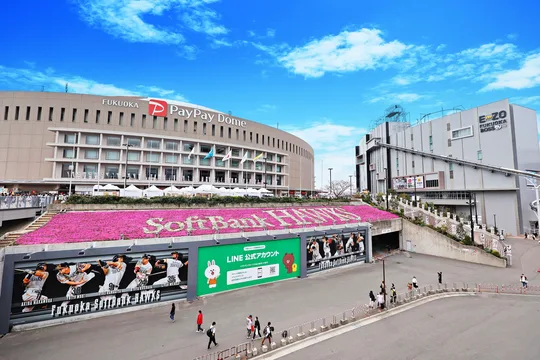 Fukuoka SoftBank Hawks Baseball Game Tickets