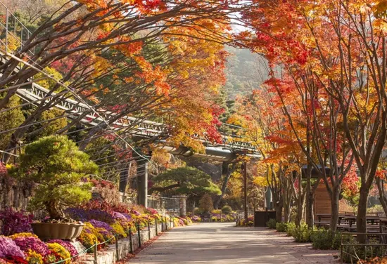 화담숲