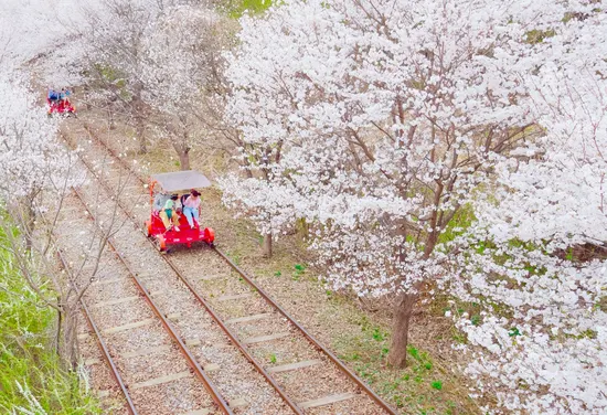 강촌 레일 바이크 공원