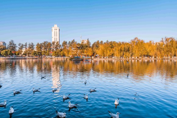 city-image