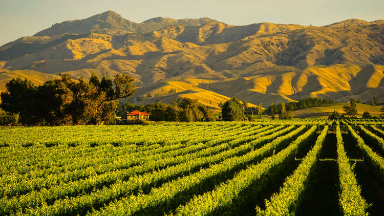 Marlborough