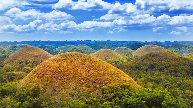 Bohol Tours