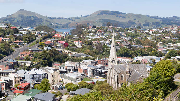 Things to do in Dunedin