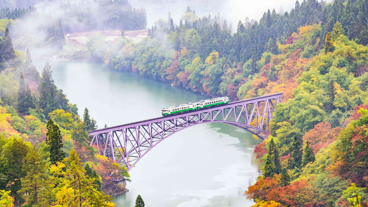 Aktivitas di Niigata