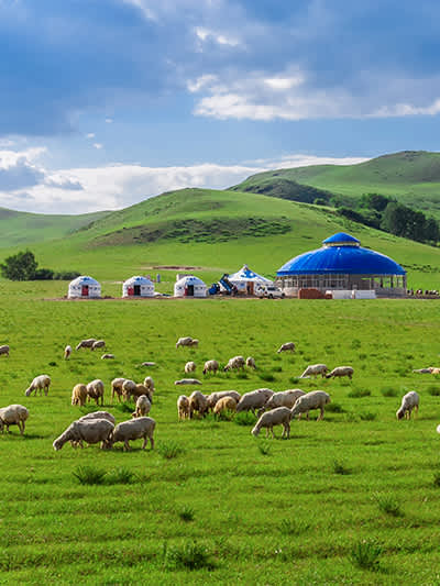 Inner Mongolia Tours