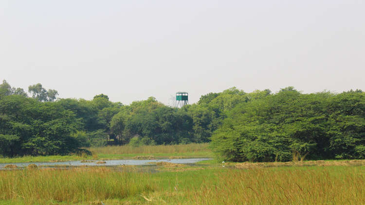 Gurugram