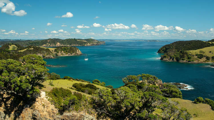 Things to do in Bay of Islands