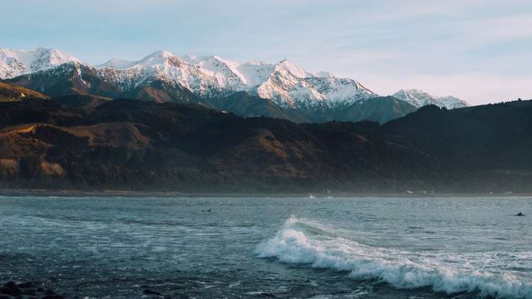Things to do in Kaikoura