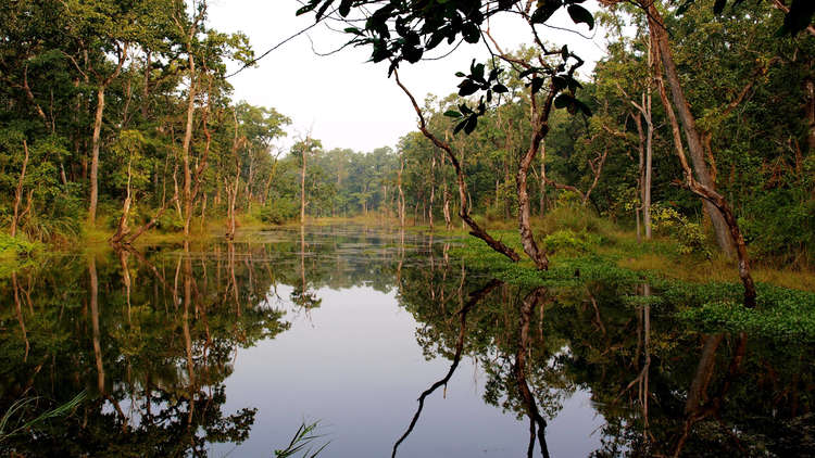 Hotels in Bharatpur