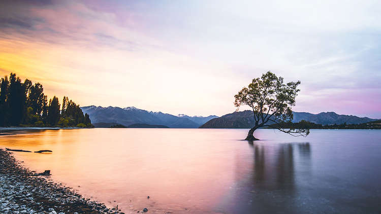 Wanaka Skydiving