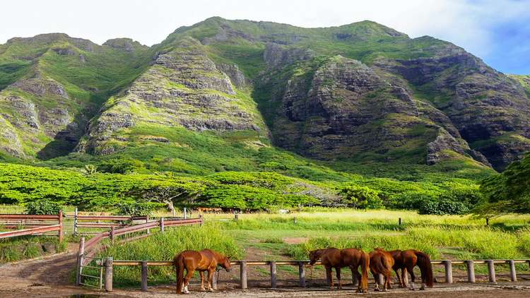 Kaneohe