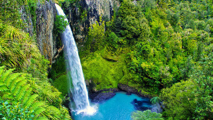 Waikato