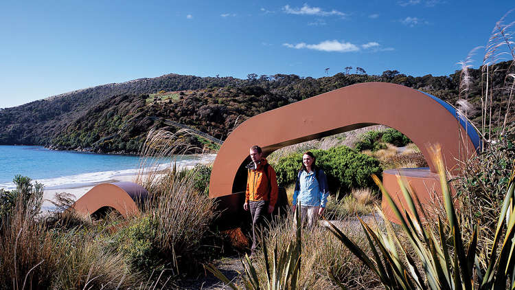 Stewart Island Wildlife