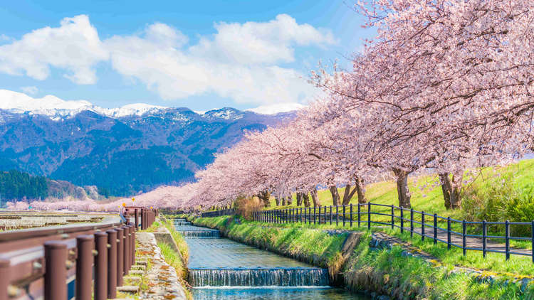 富山