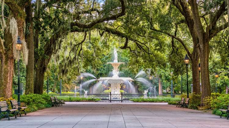 Savannah
