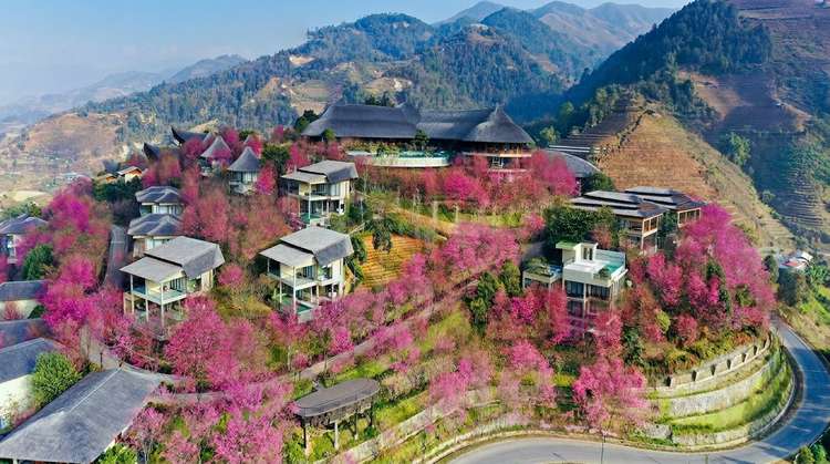 Mu Cang Chai