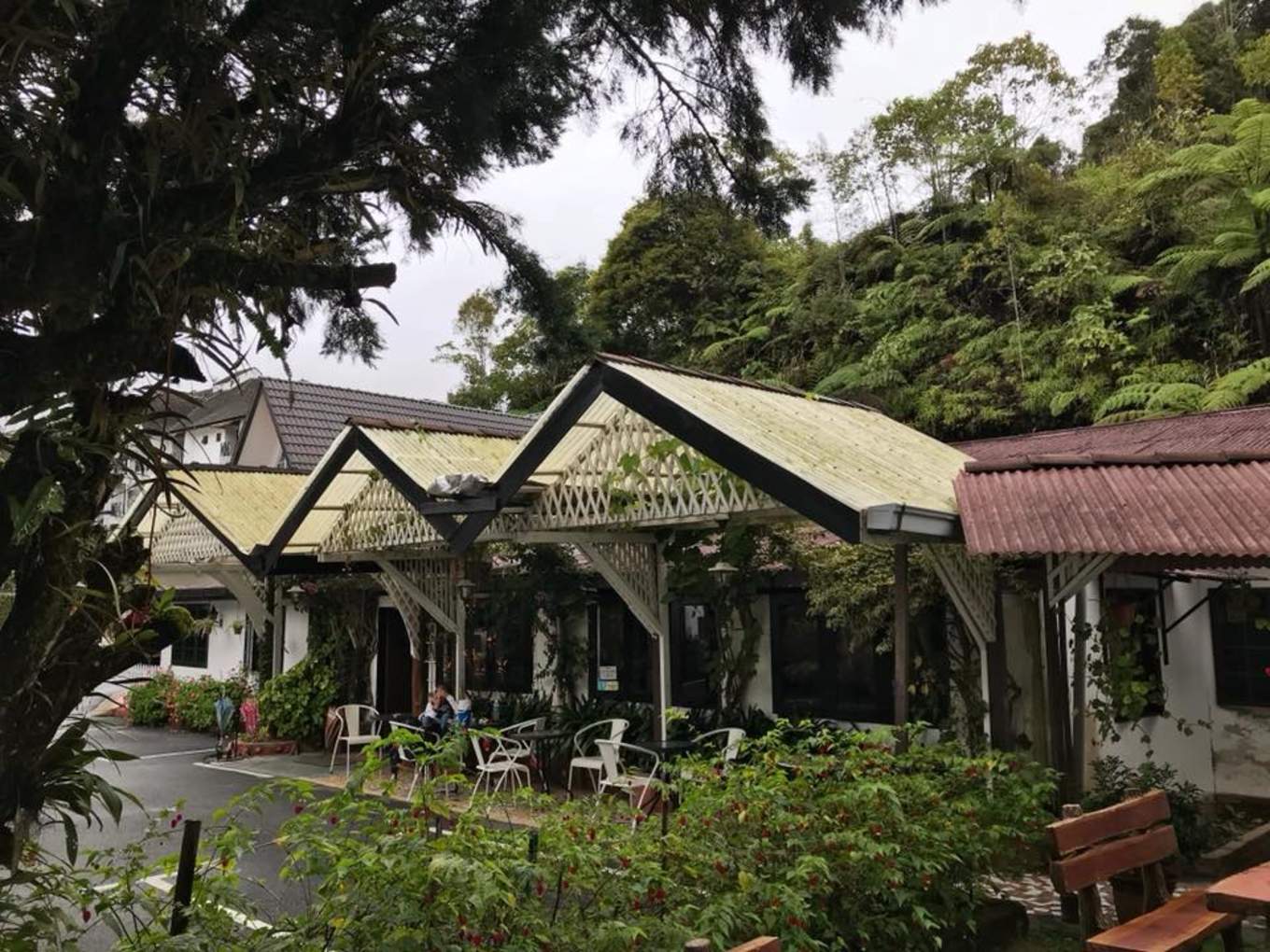 10 Budget Hotels And Accommodation In Cameron Highlands For A Long